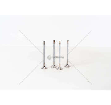 Outlet valve 106 - SAXO 1.6I 16V TU5J4 EX Mec-Diesel