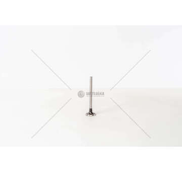 Outlet valve 12NZ/C12NZ/14NV - COMBO/ASTRA/CORSAEX Mec-Diesel