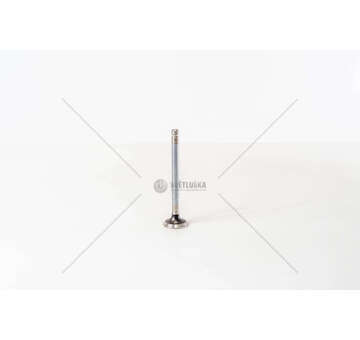 Outlet valve 146A5000 - FIORINO II 1.3 EX Mec-Diesel