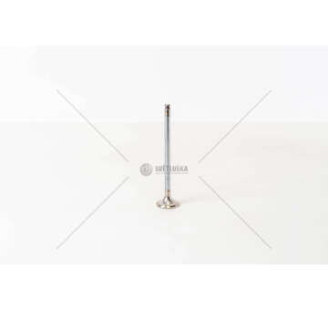 Outlet valve 160A5/836A3 - CROMA/DELTA 2.0 16V EX Mec-Diesel