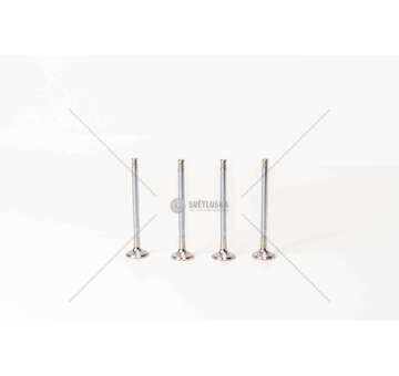 Outlet valve 188A5/198A7/940B7 - MITO/500 1.4 EX Mec-Diesel