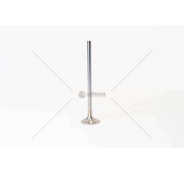 Outlet valve 260S46/440S46 - AD/AS STR.CNG EX Iveco