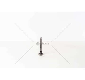 Outlet valve 2L/3L/1KZT - DYNA/HILUX/HIACE 2.4D Mec-Diesel