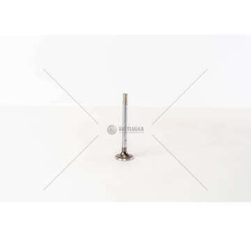 Outlet valve 4AB/4EA/4FA/4GC/4HC - TRANSIT 2.5D EX Mec-Diesel