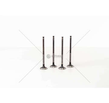 Outlet valve 4G92/4G93 - CARISMA/COLT IV 1.6 Mec-Diesel