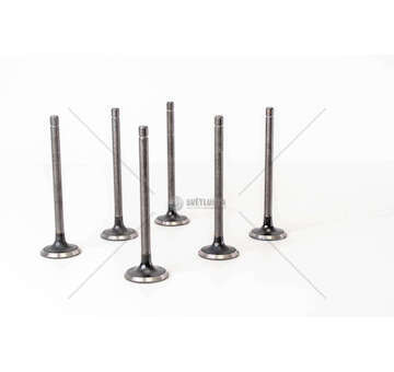 Outlet valve 8040/8060.02/04 - D.100/103 EX + 0,7 MM Mec-Diesel