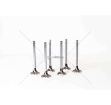 Outlet valve 8040/8060.05/25/45 EX Iveco