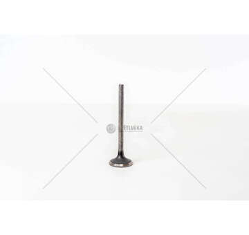 Outlet valve 8040/8060 D.104 MAGG.+0.7 EX Mec-Diesel