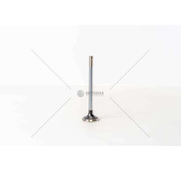 Outlet valve 8060.45K/S/M - 150E23 - EX Mec-Diesel