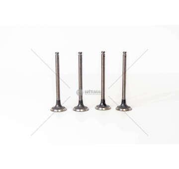 Outlet valve 8140.07 - 30.8/35.8 NEW DAILY - EX Mec-Diesel