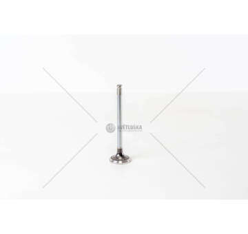 Outlet valve 8140.21/27/47/61/23/43 - DAILY EX Mec-Diesel