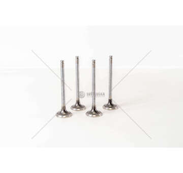 Outlet valve 8140.63 / 8140.67F EX Mec-Diesel