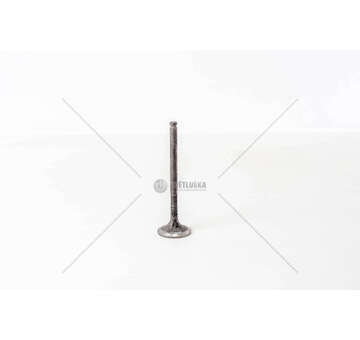 Outlet valve 8149.03 - DAILY 2.8 EX Mec-Diesel