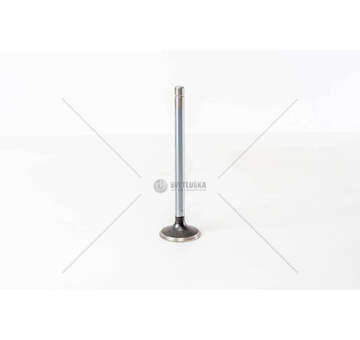 Outlet valve 8200.02 - 8200.03 - 684/160 EX Mec-Diesel