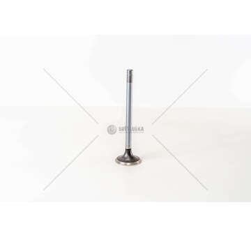 Outlet valve 8210.02 EX Mec-Diesel