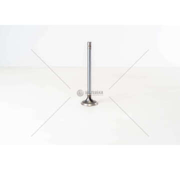 Outlet valve 8210.22/42 COLL.10 EX Iveco