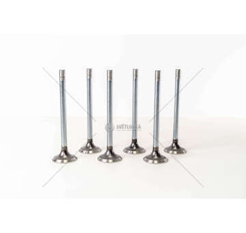 Outlet valve 8210.22/42 COLL.10 EX Mec-Diesel