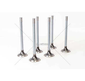 Outlet valve 8210.22/42 COLL.8 EX Mec-Diesel