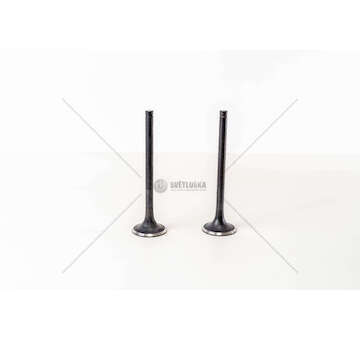 Outlet valve 8280.02/22 EX - 190.35/38/42 EX Mec-Diesel