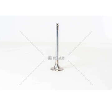 Outlet valve 8280.42 - 190.48/440E52 EX. Mec-Diesel