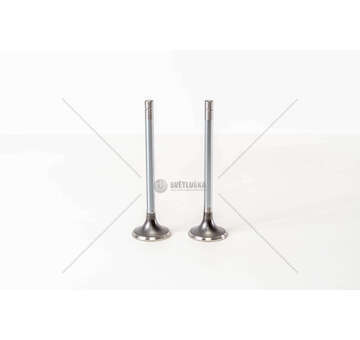 Outlet valve 8460.21/41 - EUROTECH/EUROSTAR EX Mec-Diesel