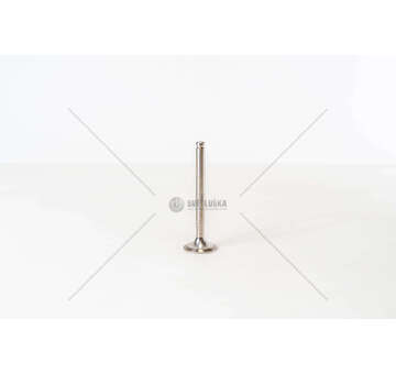 Outlet valve ALFA GIULIA 1300 SCAR. Mec-Diesel