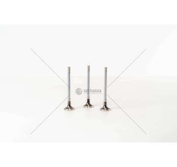 Outlet valve Antara 2.0 16V Z20DMH EX Mec-Diesel