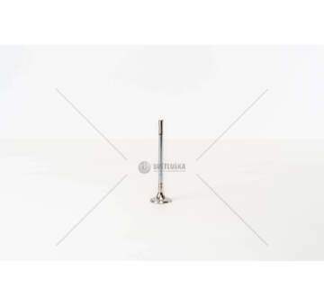 Outlet valve ASB/BNG/BTR - A4/A5/A6/Q5 3.0 TDI EX Mec-Diesel