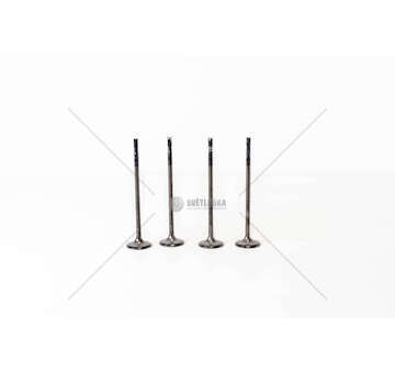 Outlet valve ASTRA 1,6 16V I Z16XEP GAS EX Mec-Diesel