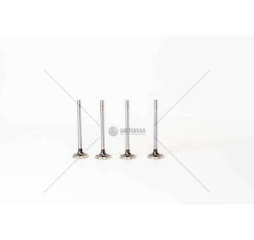 Outlet valve ASTRA/CORSA 1.4 EX Mec-Diesel