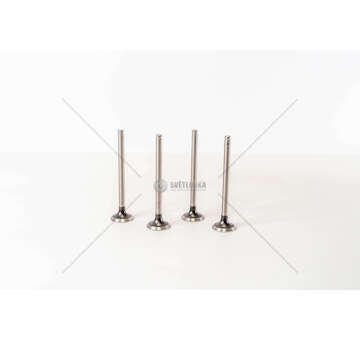 Outlet valve ASTRA/KADETT 1600 D. EX Mec-Diesel