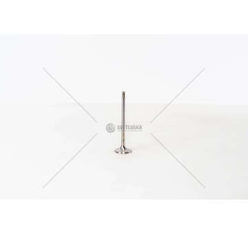 Outlet valve AUDI 1.8 20V - 2.8 V6 30V EX Mec-Diesel