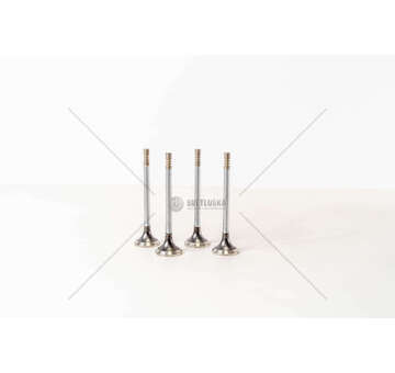 Outlet valve B.M.W.324D/524D EX Mec-Diesel