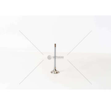 Outlet valve BMW 325TD/525TD - ROVER DISCOV EX Mec-Diesel