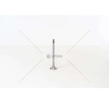 Outlet valve BRAVO - ALFA 155 1.8 16V. EX Mec-Diesel