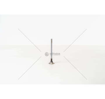 Outlet valve C3 1.4 Hdi 16V DV4TED4 EX Mec-Diesel