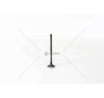 Outlet valve CARNIVAL J3 2.9CRDI 4V 98> Mec-Diesel