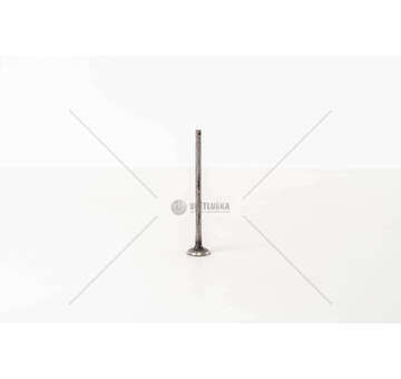 Outlet valve CLIO 1.2 16V D4F GAS EX Mec-Diesel