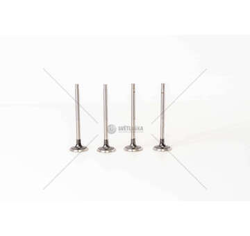 Outlet valve CLIO/MEGANE/MICRA -K9K-1.5 DCI EX Mec-Diesel