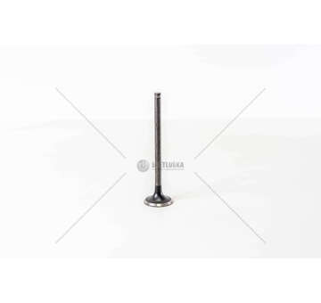 Outlet valve CO3 - CP3 - CN3 EX Mec-Diesel