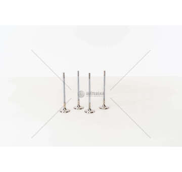 Outlet valve Corsa 1.8 16V A E18XE EX 27,4X Mec-Diesel