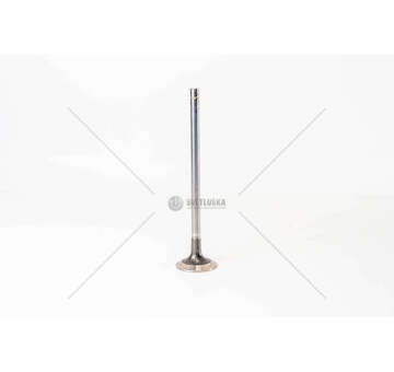 Outlet valve CURSOR 13 EURO 6 EX Iveco