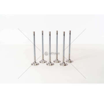 Outlet valve D 0834/0836LOH E3/E4 EX Mec-Diesel