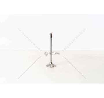 Outlet valve D 2876 LF07/11/21/22 - 1 GOLA/24 VALV/EX46 X Mec-Diesel