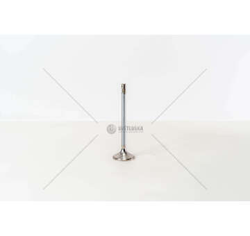 Outlet valve D 2876 LF07/11/21/22 - 3 GOLE/ 24 VALV/EX Mec-Diesel