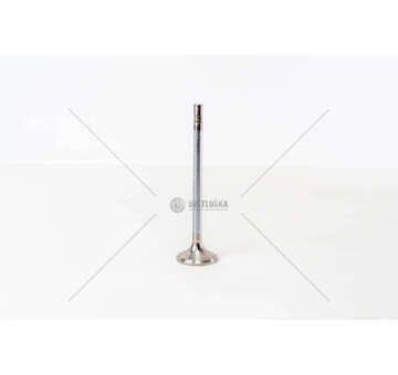 Outlet valve D 2876 LF12/13/22-LOH20/21 3GOLE 24V /EX Mec-Diesel