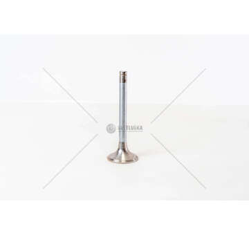 Outlet valve D2530/38-D2566-D2842/66 FUNGO51 45°1 GOLA EX Mec-Diesel