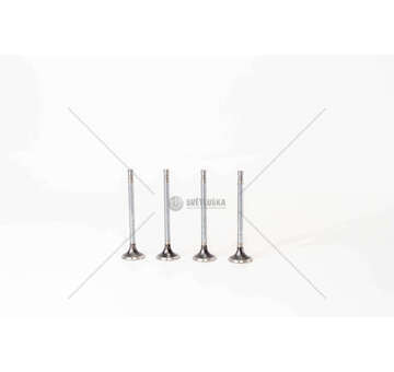 Outlet valve D5244T - C30/S60/S80/V70/XC70 2.4D EX Mec-Diesel