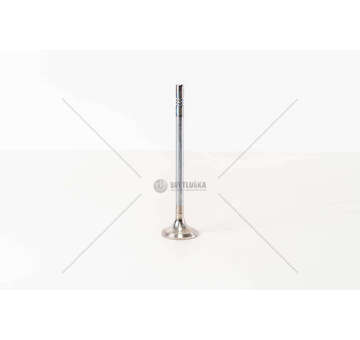 Outlet valve D7E240/280/320 - FE/FL II EX Mec-Diesel