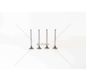 Outlet valve D7F 700/710/720 - CLIO/KANGOO 1.2 EX Mec-Diesel